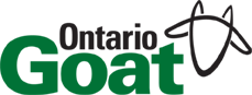 Ontario Goat